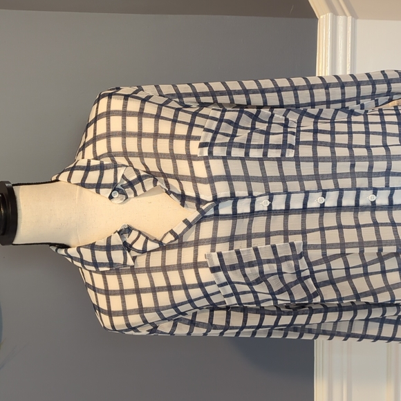 EUC BB Dakota Sheer Blue & White Plaid Button Down Top - Size: M - Picture 3 of 11